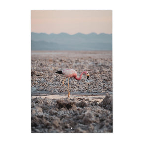 Quadro Decorativo Flamingo | Patricia Schussel Gomes - Meu Rodapé