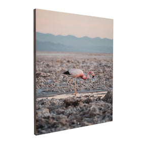Quadro Decorativo Flamingo | Patricia Schussel Gomes - Meu Rodapé