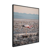 Quadro Decorativo Flamingo | Patricia Schussel Gomes - Meu Rodapé