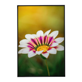 Quadro Decorativo Flor 1 | Albori Ribeiro - Meu Rodapé