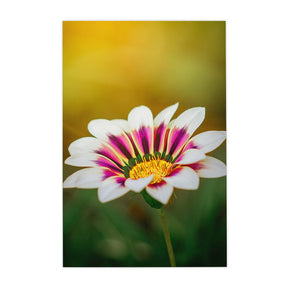 Quadro Decorativo Flor 1 | Albori Ribeiro - Meu Rodapé