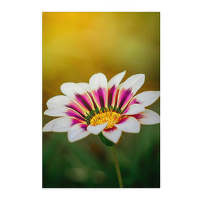 Quadro Decorativo Flor 1 | Albori Ribeiro - Meu Rodapé