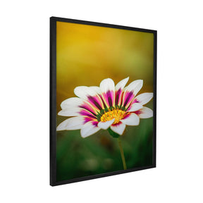 Quadro Decorativo Flor 1 | Albori Ribeiro - Meu Rodapé