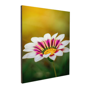 Quadro Decorativo Flor 1 | Albori Ribeiro - Meu Rodapé