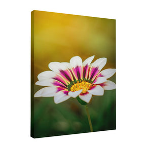 Quadro Decorativo Flor 1 | Albori Ribeiro - Meu Rodapé