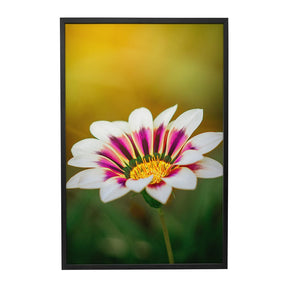 Quadro Decorativo Flor 1 | Albori Ribeiro - Meu Rodapé