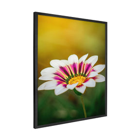 Quadro Decorativo Flor 1 | Albori Ribeiro - Meu Rodapé