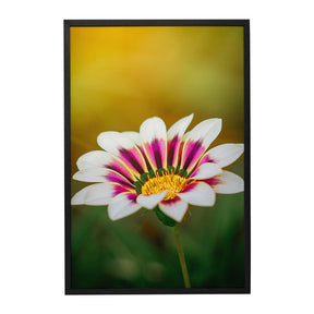 Quadro Decorativo Flor 1 | Albori Ribeiro - Meu Rodapé