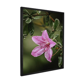 Quadro Decorativo Flor 2 | Albori Ribeiro - Meu Rodapé