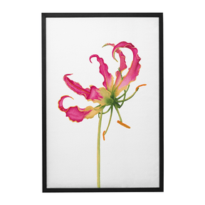 Quadro Decorativo Flor Gloriosa | Aline Gomes - Meu Rodapé