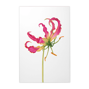 Quadro Decorativo Flor Gloriosa | Aline Gomes - Meu Rodapé