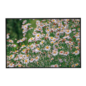 Quadro Decorativo Flores Margaridas | Sâmia Munaretti & Marcelo Baldin - Meu Rodapé