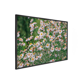 Quadro Decorativo Flores Margaridas | Sâmia Munaretti & Marcelo Baldin - Meu Rodapé