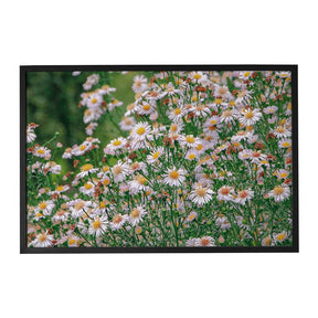 Quadro Decorativo Flores Margaridas | Sâmia Munaretti & Marcelo Baldin - Meu Rodapé