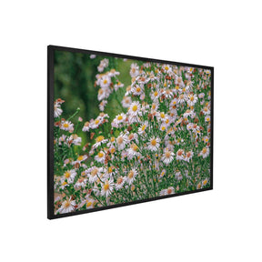 Quadro Decorativo Flores Margaridas | Sâmia Munaretti & Marcelo Baldin - Meu Rodapé