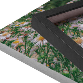 Quadro Decorativo Flores Margaridas | Sâmia Munaretti & Marcelo Baldin - Meu Rodapé