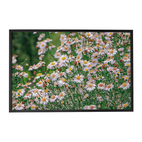 Quadro Decorativo Flores Margaridas | Sâmia Munaretti & Marcelo Baldin - Meu Rodapé