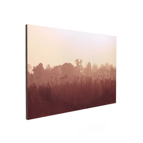 Quadro Decorativo Floresta | Sâmia Munaretti & Marcelo Baldin - Meu Rodapé