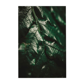 Quadro Decorativo Folhas 1 | Albori Ribeiro - Meu Rodapé