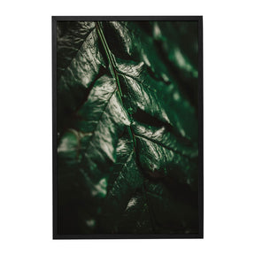 Quadro Decorativo Folhas 1 | Albori Ribeiro - Meu Rodapé