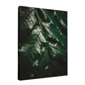 Quadro Decorativo Folhas 1 | Albori Ribeiro - Meu Rodapé