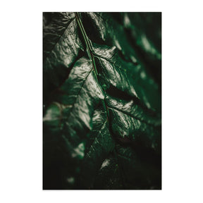 Quadro Decorativo Folhas 1 | Albori Ribeiro - Meu Rodapé