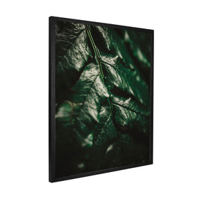 Quadro Decorativo Folhas 1 | Albori Ribeiro - Meu Rodapé