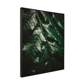 Quadro Decorativo Folhas 1 | Albori Ribeiro - Meu Rodapé
