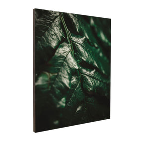 Quadro Decorativo Folhas 1 | Albori Ribeiro - Meu Rodapé