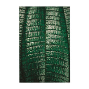 Quadro Decorativo Folhas 2 | Albori Ribeiro - Meu Rodapé
