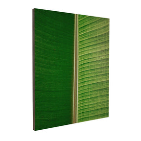 Quadro Decorativo Folhas 3 | Albori Ribeiro - Meu Rodapé