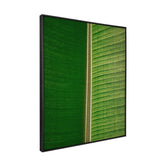 Quadro Decorativo Folhas 3 | Albori Ribeiro - Meu Rodapé