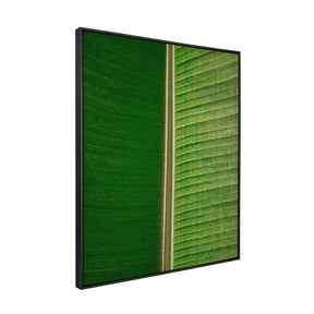 Quadro Decorativo Folhas 3 | Albori Ribeiro - Meu Rodapé