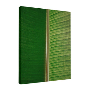 Quadro Decorativo Folhas 3 | Albori Ribeiro - Meu Rodapé