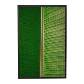 Quadro Decorativo Folhas 3 | Albori Ribeiro - Meu Rodapé