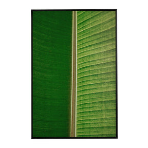 Quadro Decorativo Folhas 3 | Albori Ribeiro - Meu Rodapé