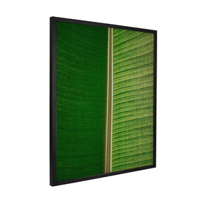 Quadro Decorativo Folhas 3 | Albori Ribeiro - Meu Rodapé