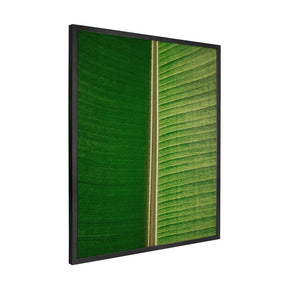 Quadro Decorativo Folhas 3 | Albori Ribeiro - Meu Rodapé