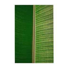 Quadro Decorativo Folhas 3 | Albori Ribeiro - Meu Rodapé