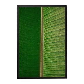 Quadro Decorativo Folhas 3 | Albori Ribeiro - Meu Rodapé