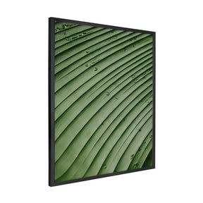 Quadro Decorativo Folhas 4 | Albori Ribeiro - Meu Rodapé