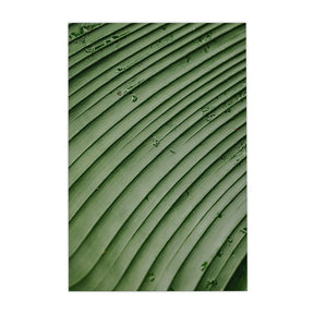 Quadro Decorativo Folhas 4 | Albori Ribeiro - Meu Rodapé