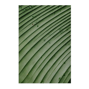 Quadro Decorativo Folhas 4 | Albori Ribeiro - Meu Rodapé