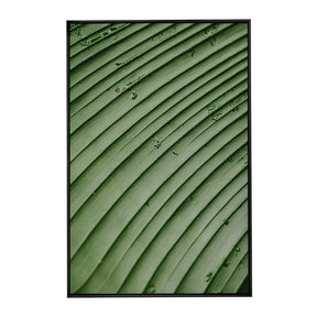 Quadro Decorativo Folhas 4 | Albori Ribeiro - Meu Rodapé
