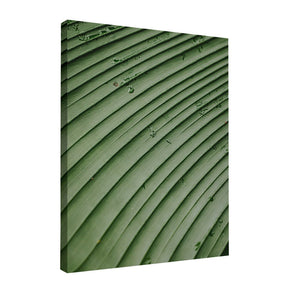 Quadro Decorativo Folhas 4 | Albori Ribeiro - Meu Rodapé