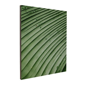 Quadro Decorativo Folhas 4 | Albori Ribeiro - Meu Rodapé