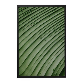 Quadro Decorativo Folhas 4 | Albori Ribeiro - Meu Rodapé