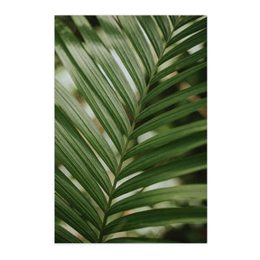 Quadro Decorativo Folhas 5 | Albori Ribeiro - Meu Rodapé