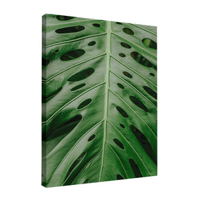 Quadro Decorativo Folhas 6 | Albori Ribeiro - Meu Rodapé