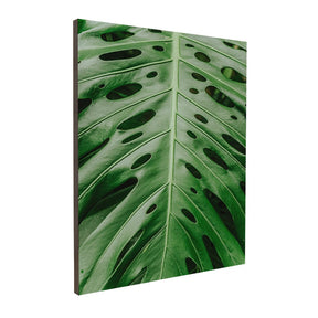 Quadro Decorativo Folhas 6 | Albori Ribeiro - Meu Rodapé